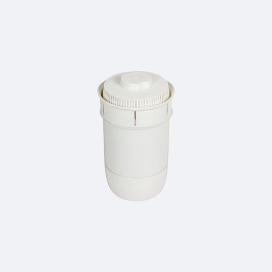 Waterworks Filter Cartridge for SFB 3F