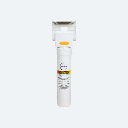 Waterworks Plug-N-Play Single Head & Bracket